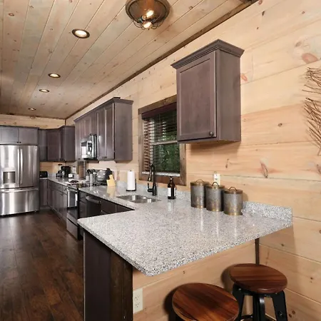 Villa Chestnut Bearadise à Gatlinburg Extérieur photo